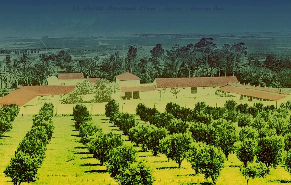 CO j- 14- Madrague- El ancor- Andalouses.jpg